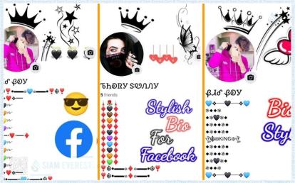 100 VIP Facebook Account Bio Copy And Paste 2024